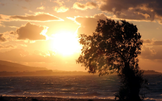 582358 (a): :2560x1600